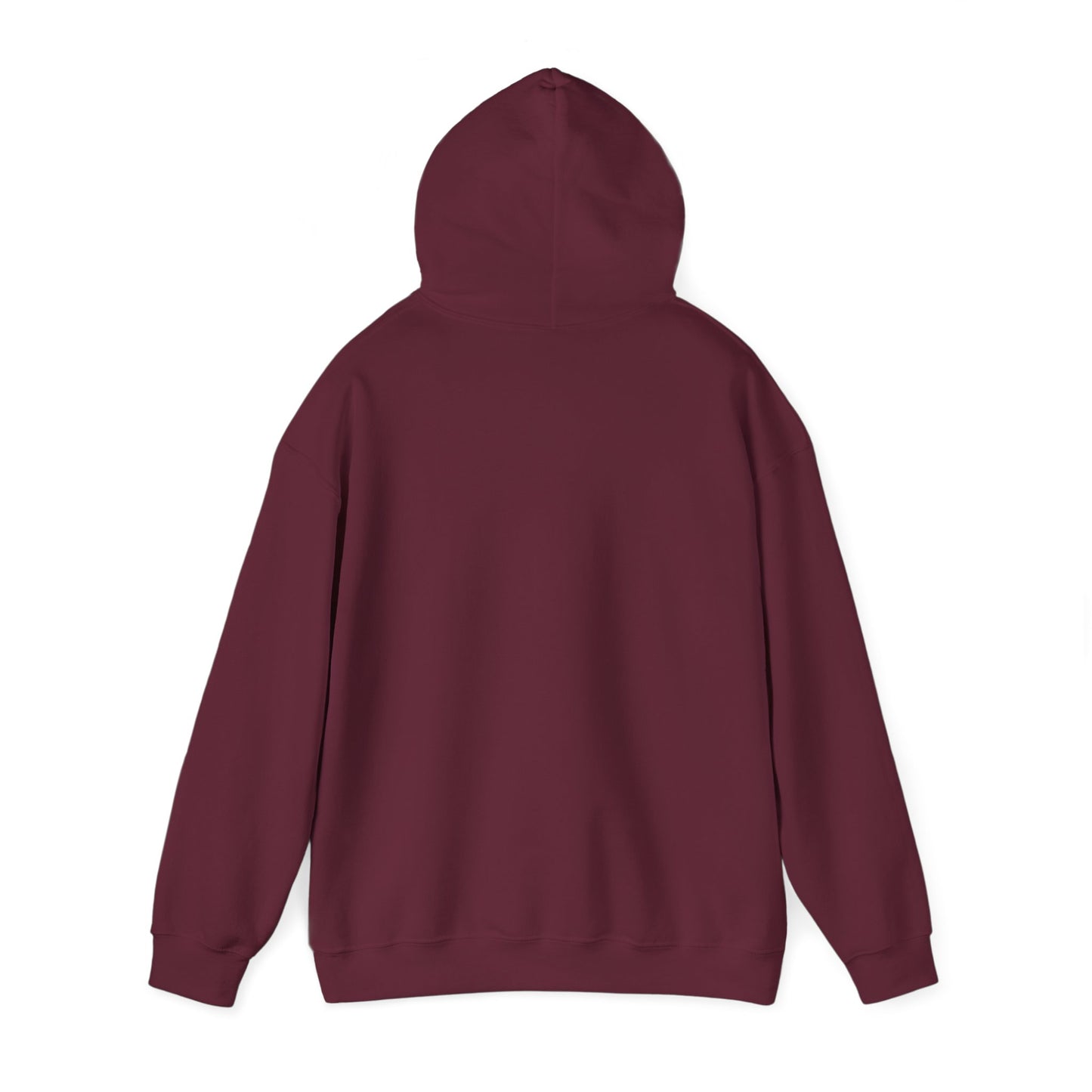 Bikram 90 Hoodie