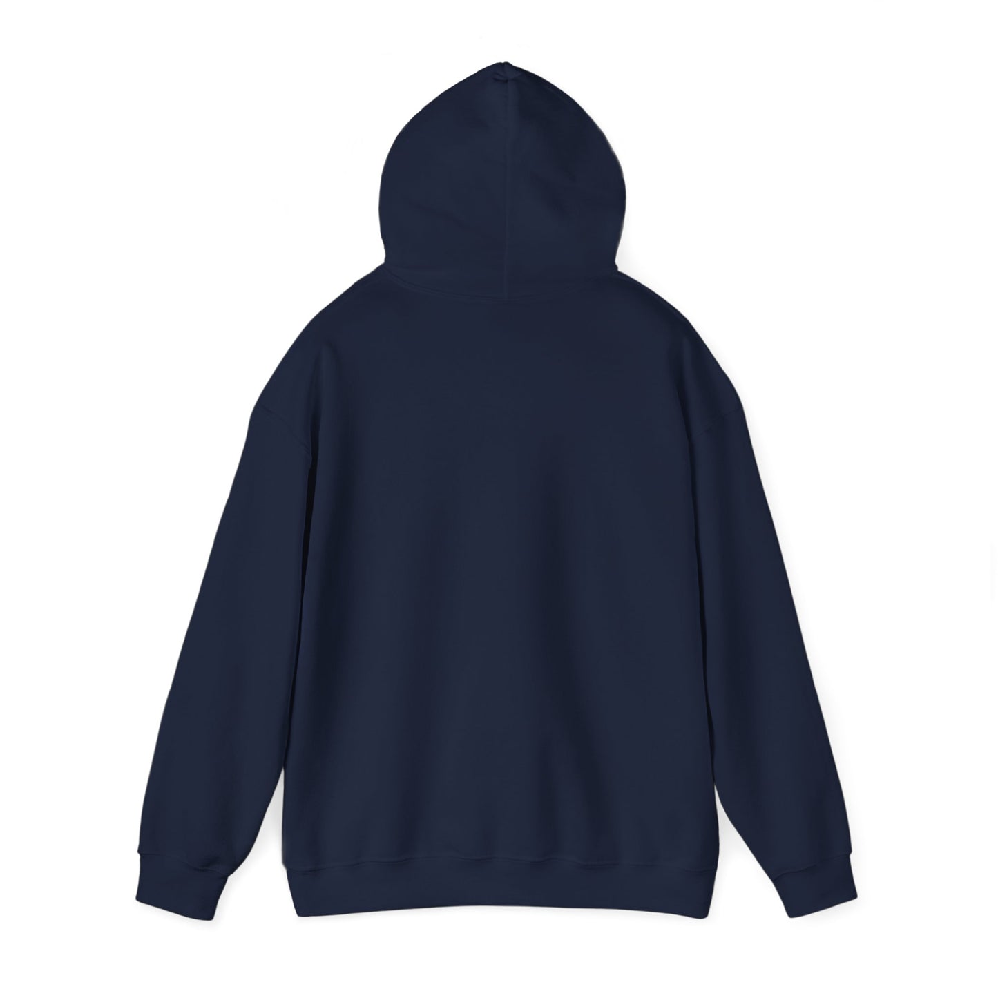 Bikram 90 Hoodie